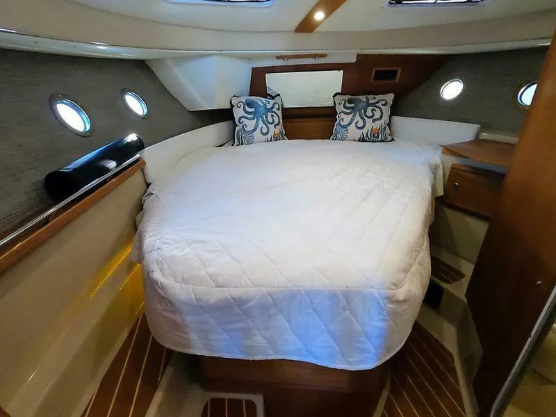 Slide: The Image of Cutwater R-29 S LE 2017 - 5665897