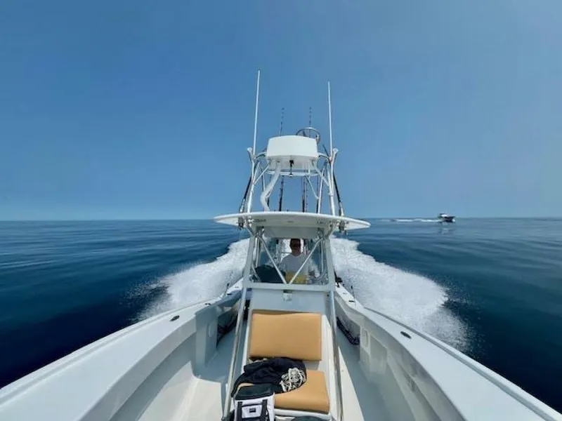 Slide: The Image of Irving Forbes 28 2025 - 5670062