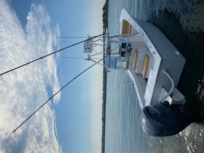 Slide: The Image of Irving Forbes 28 2025 - 5670075