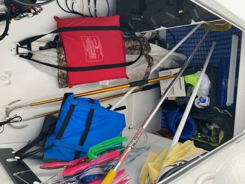 Slide: The Image of Irving Forbes 28 2025 - 5670068