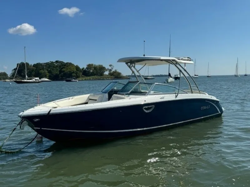 The Image of Cobalt R7 2019 - 5671598