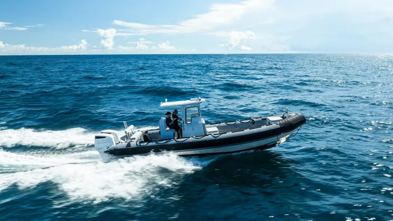 Slide: The Image of Zodiac Hurricane 920 2008 - 5675424