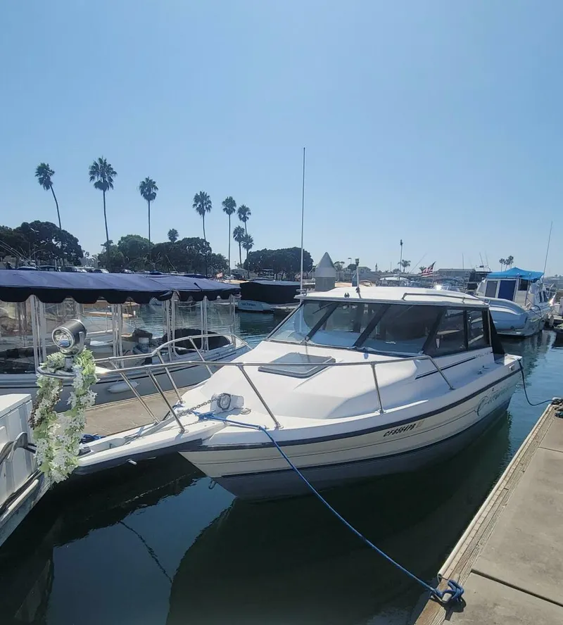 Slide: The Image of Bayliner 2159 Trophy 1991 - 5676750