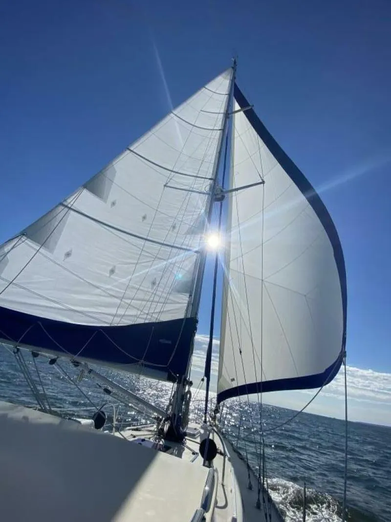 Slide: The Image of Wing on Wing - 5676810