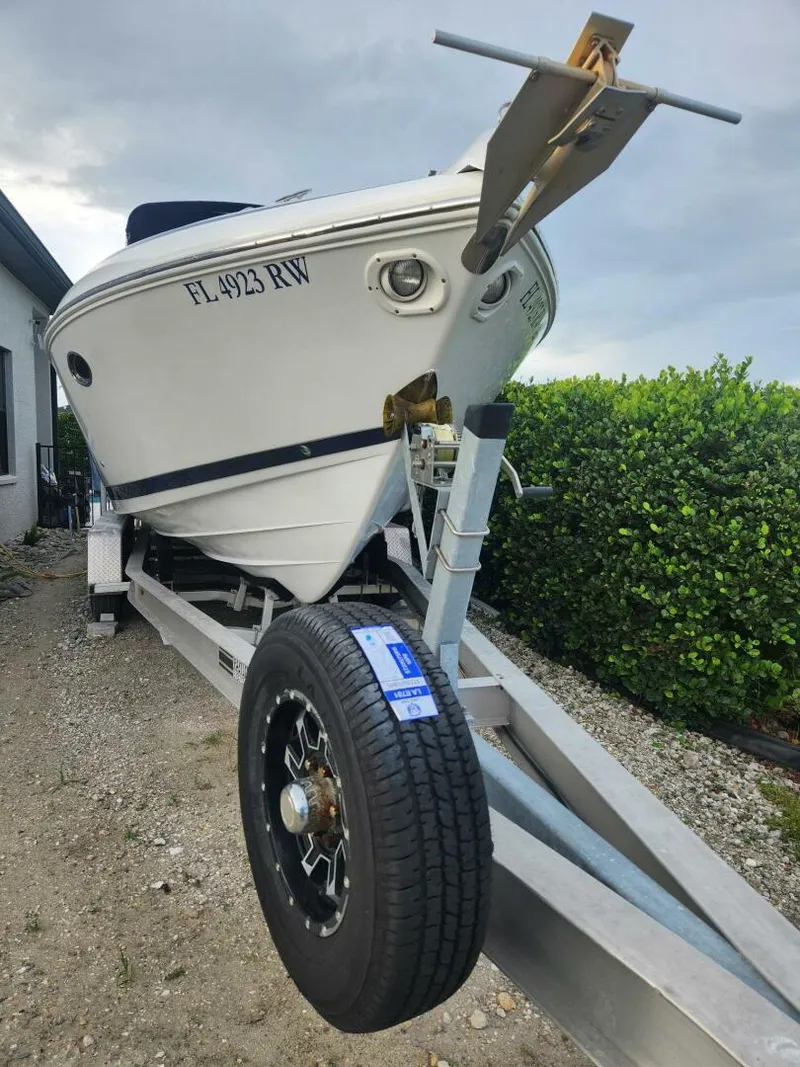 Slide: The Image of Cobalt 29 1999 - 5677531