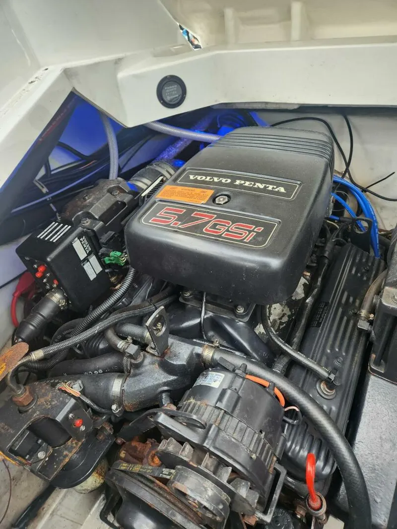 Slide: The Image of Cobalt 29 1999 - 5677494