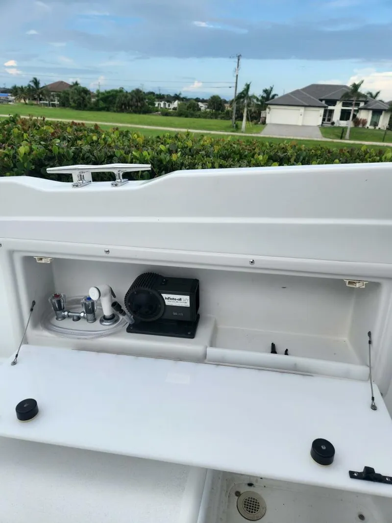 Slide: The Image of Cobalt 29 1999 - 5677506