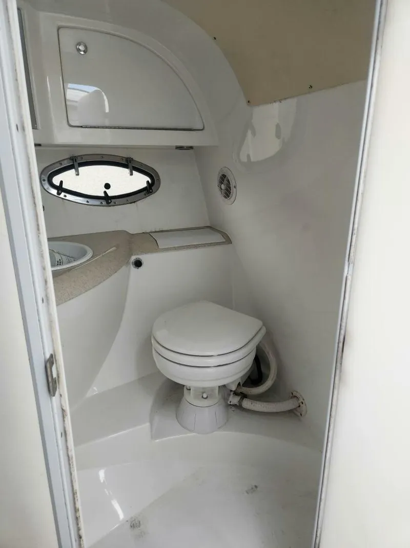 Slide: The Image of Cobalt 29 1999 - 5677500