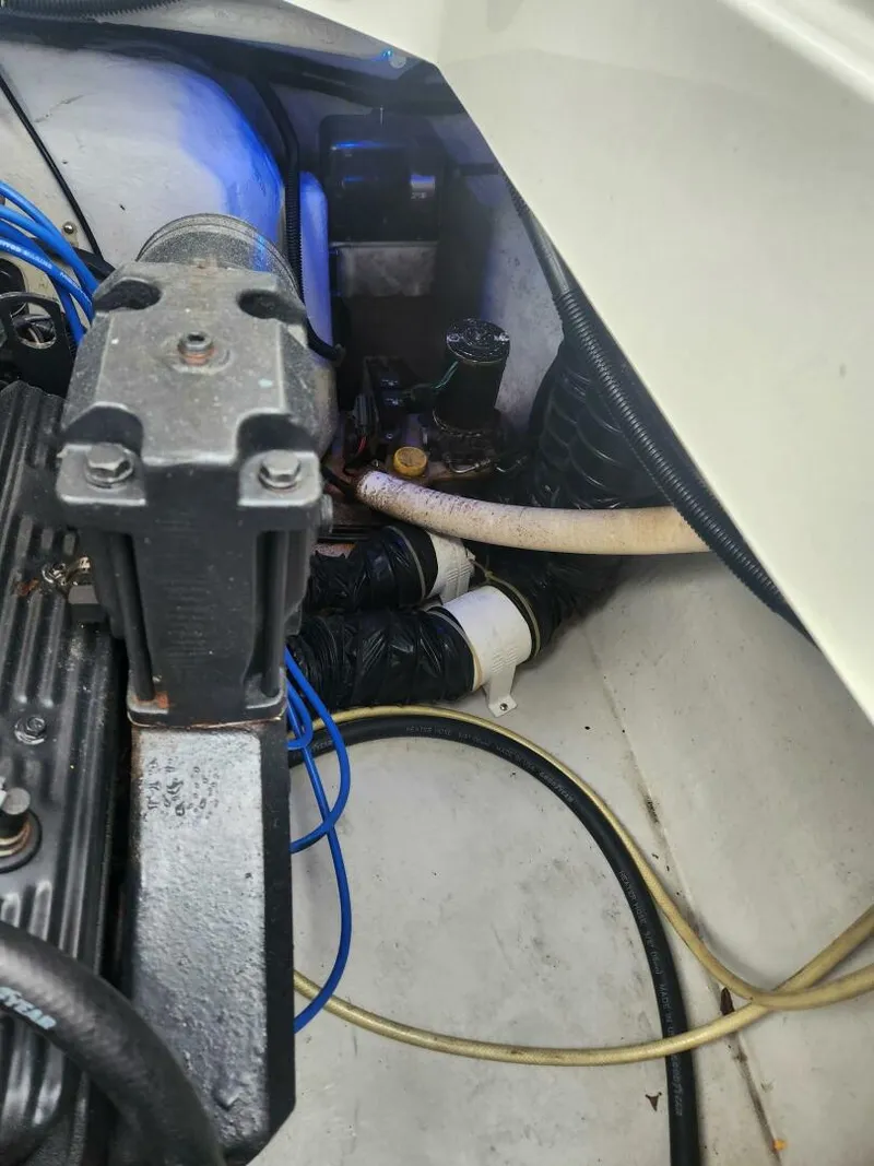 Slide: The Image of Cobalt 29 1999 - 5677516