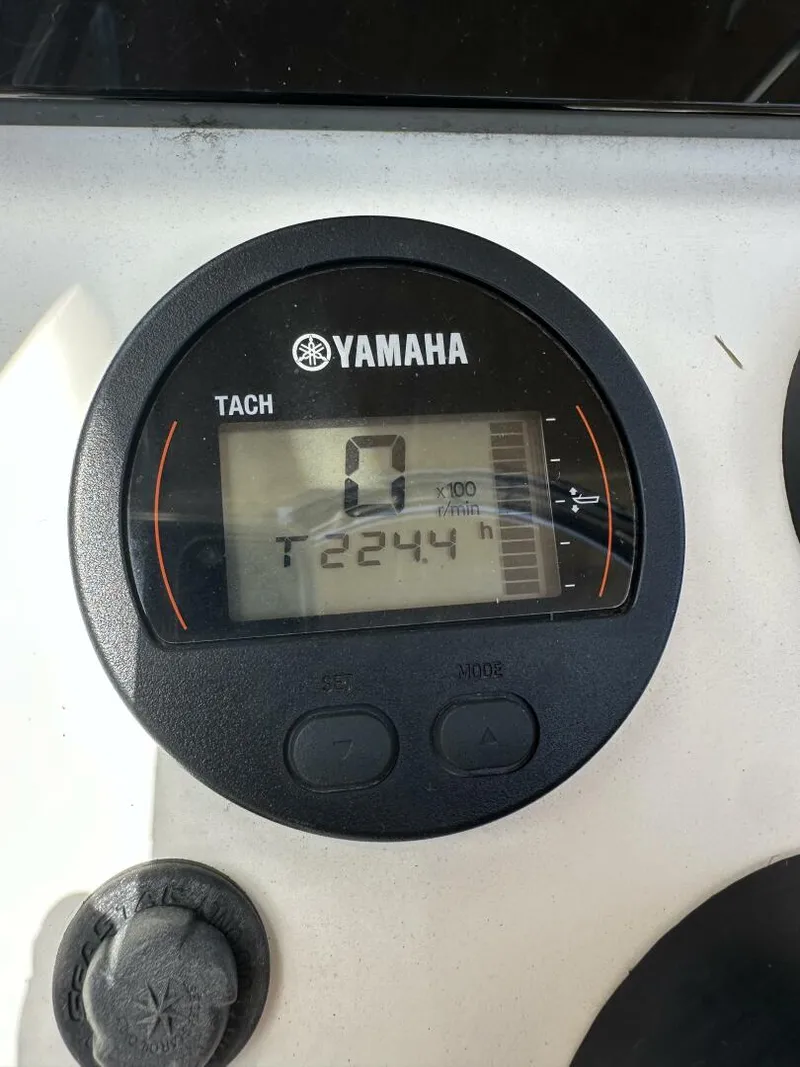 Slide: The Image of Scout 215 XSF 2019 - 5677981