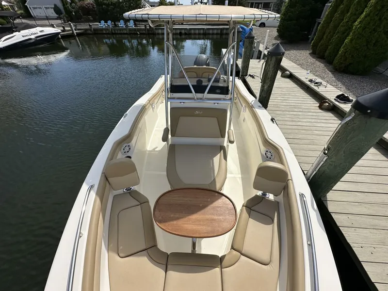 Slide: The Image of Scout 215 XSF 2019 - 5677991