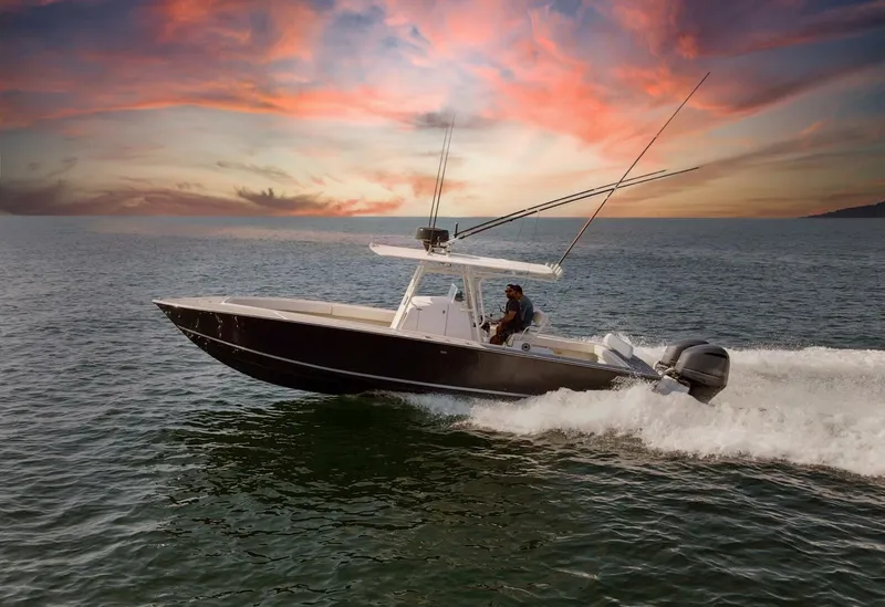 Slide: The Image of 2004 31 Jupiter 31FS Smoke Show Profile - 5678044