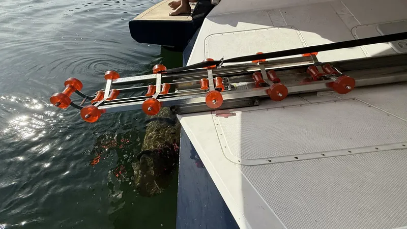 Slide: The Image of Elling E6 2021 - 5679506