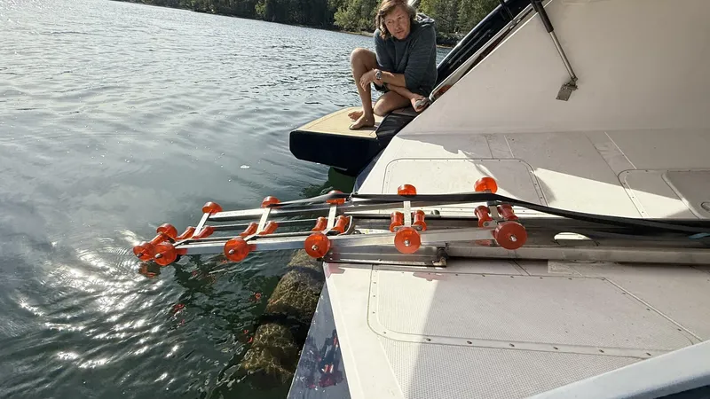 Slide: The Image of Elling E6 2021 - 5679507