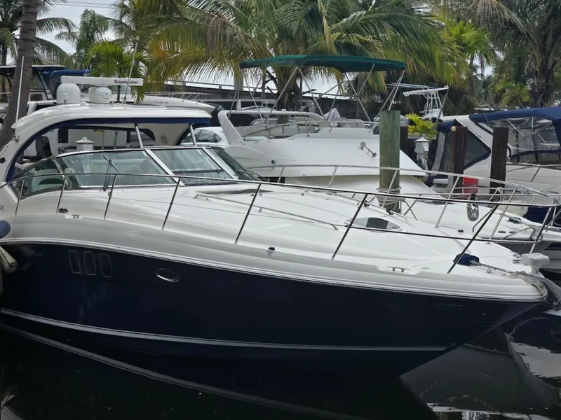 The Image of Sea Ray Sundancer 2008 - 5681456