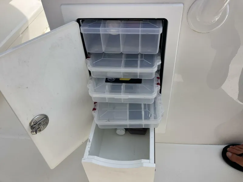 Slide: The Image of Regulator Marine 31 2020 - 5681559