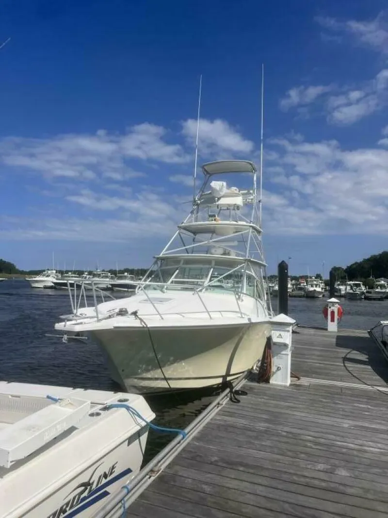 Slide: The Image of Dockside Bow View - 5681534