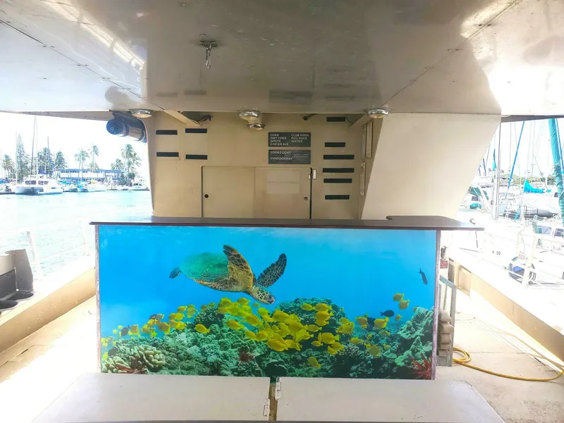 Slide: The Image of Aluminum Cruiser COMMERCIAL PASSENGER VESSEL 2003 - 5977243