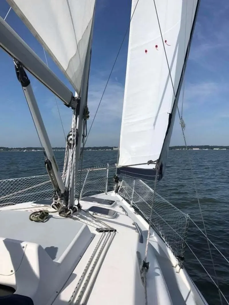 Slide: The Image of Hunter 306 2003 - 5683687