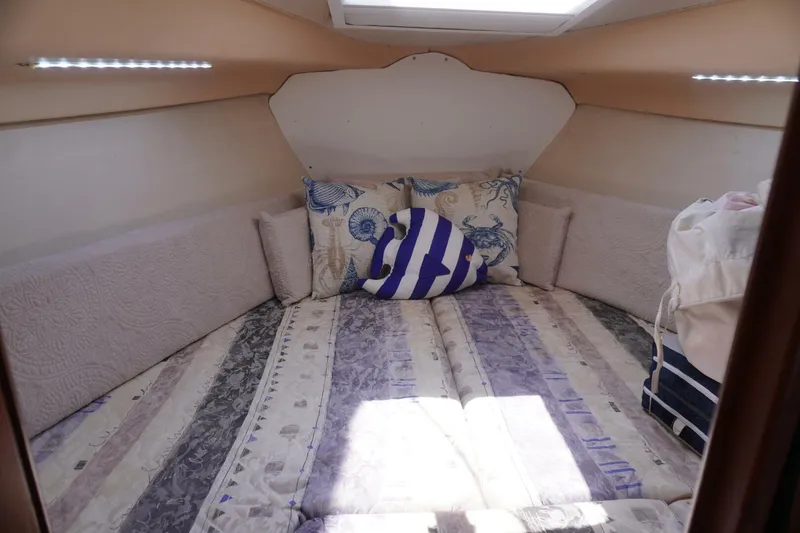 Slide: The Image of Hunter 306 2003 - 5683675