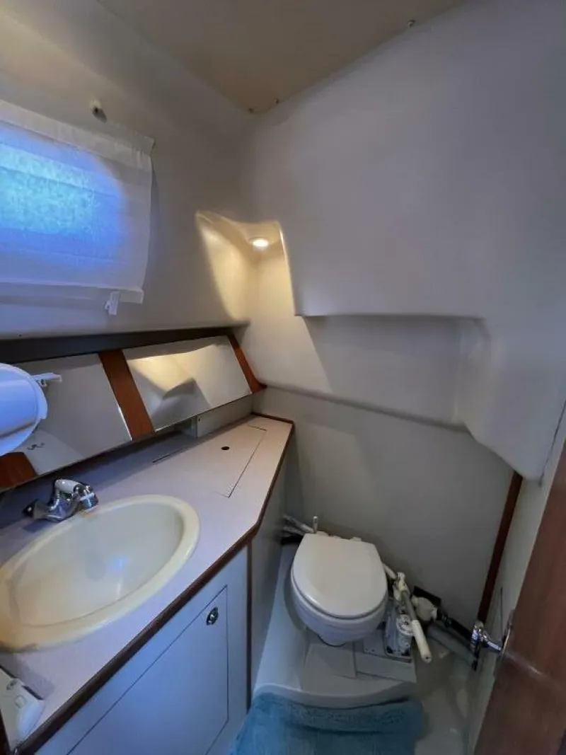 Slide: The Image of Hunter 306 2003 - 5707734