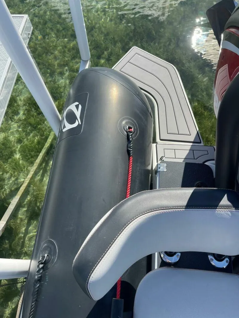 Slide: The Image of Zodiac 22 2019 - 5685217