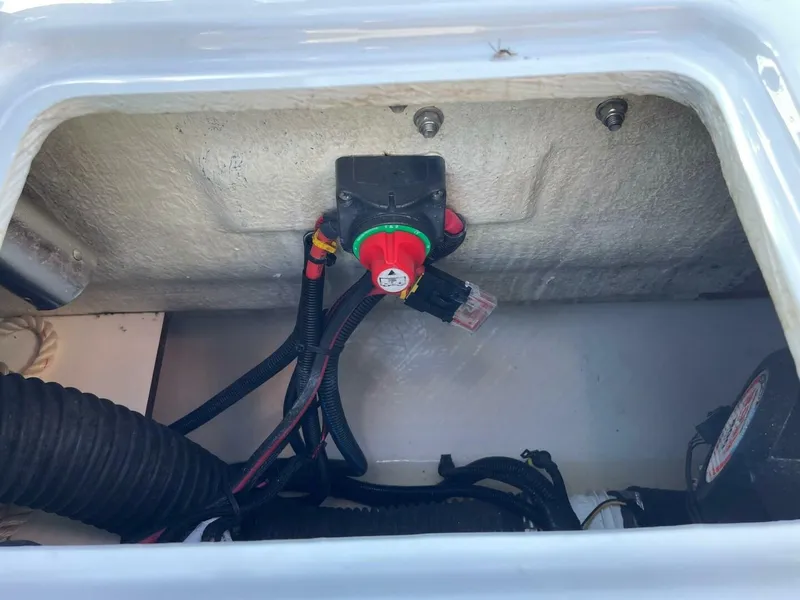 Slide: The Image of Zodiac 22 2019 - 5685218