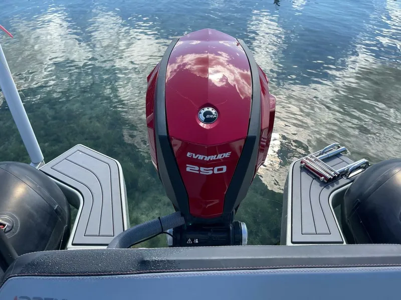 Slide: The Image of Zodiac 22 2019 - 5685224