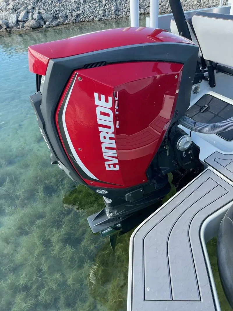 Slide: The Image of Zodiac 22 2019 - 5685225