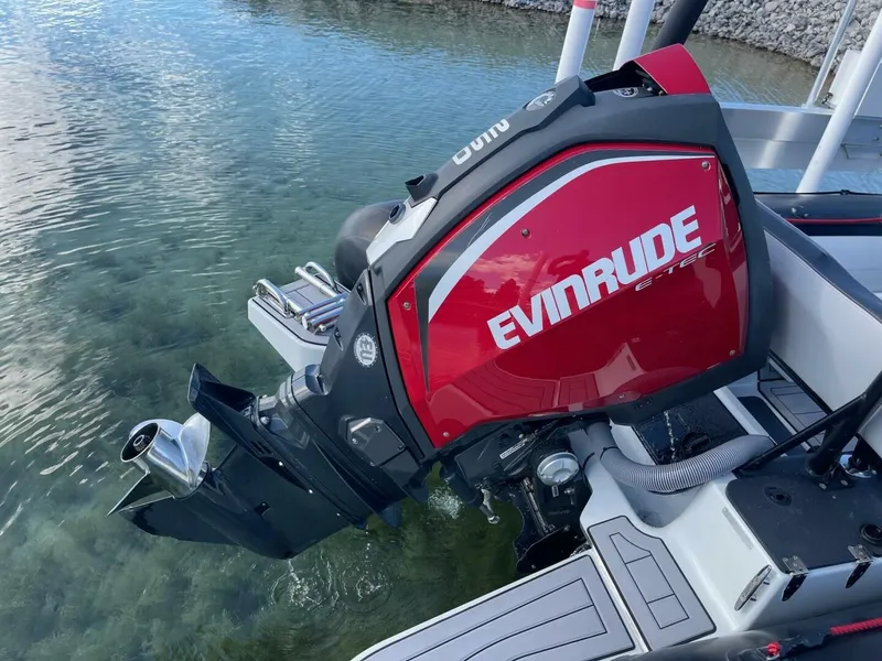 Slide: The Image of Zodiac 22 2019 - 5685240