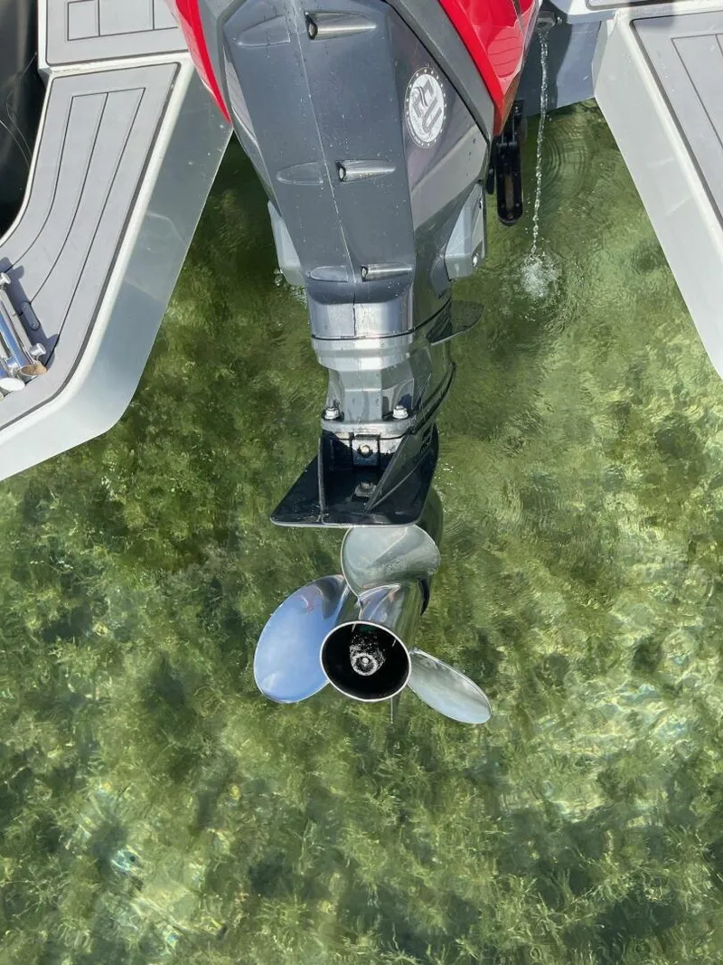 Slide: The Image of Zodiac 22 2019 - 5685241