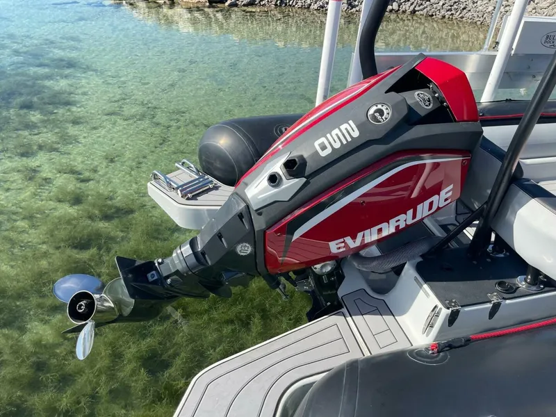 Slide: The Image of Zodiac 22 2019 - 5685209