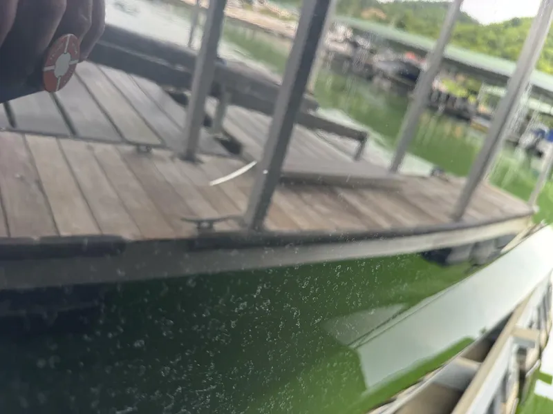 Slide: The Image of Yamaha 252 SD 2024 - 5685511