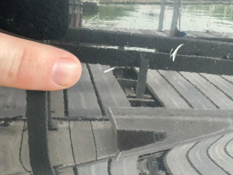 Slide: The Image of Yamaha 252 SD 2024 - 5685514