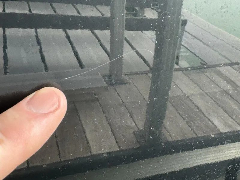 Slide: The Image of Yamaha 252 SD 2024 - 5685524