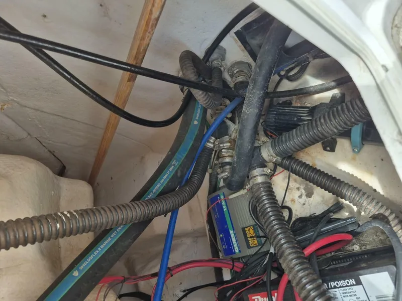 Slide: The Image of Pro-Line 33 Walk 2004 - 5685991