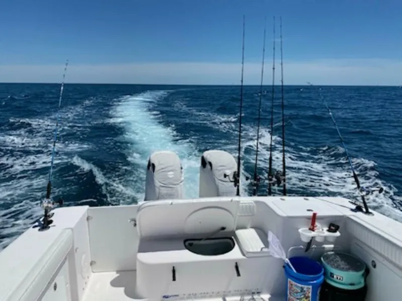 Slide: The Image of Pro-Line 33 Walk 2004 - 5686004