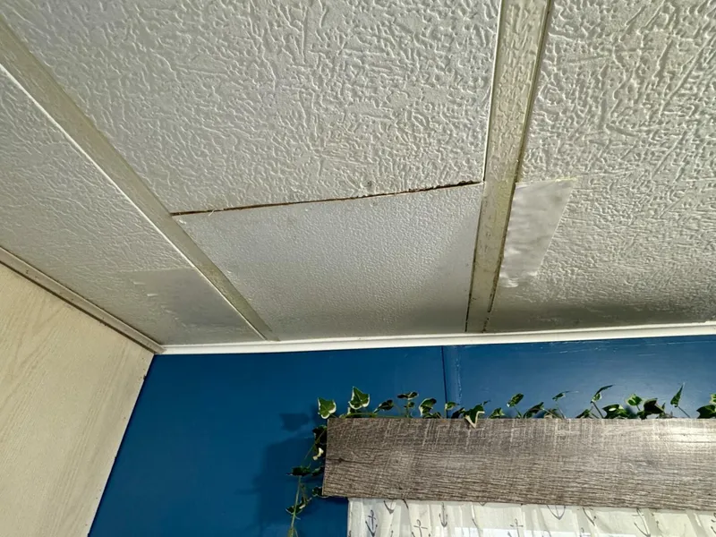 Slide: The Image of Aqua Chalet 16 x 68 Widebody 1999 - 5686287