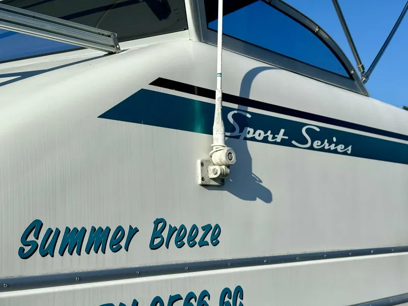 Slide: The Image of Gibson 37 Sport Series 1995 - 5686568