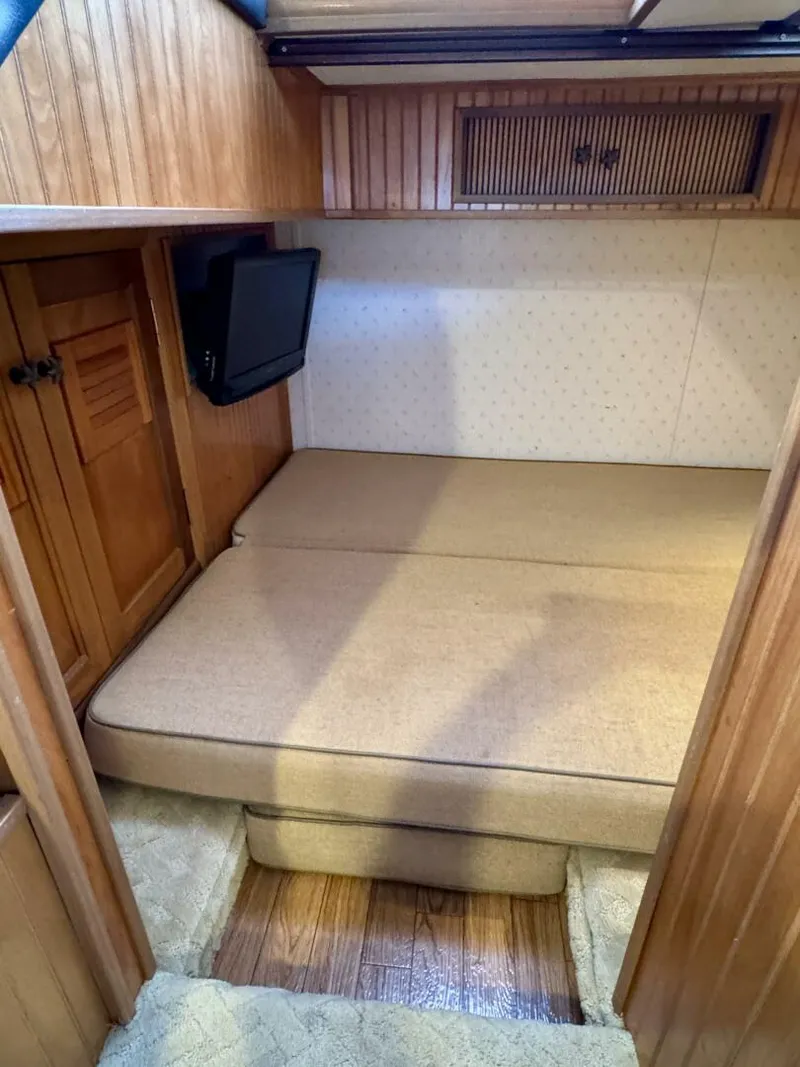 Slide: The Image of Gibson 37 Sport Series 1995 - 5686463