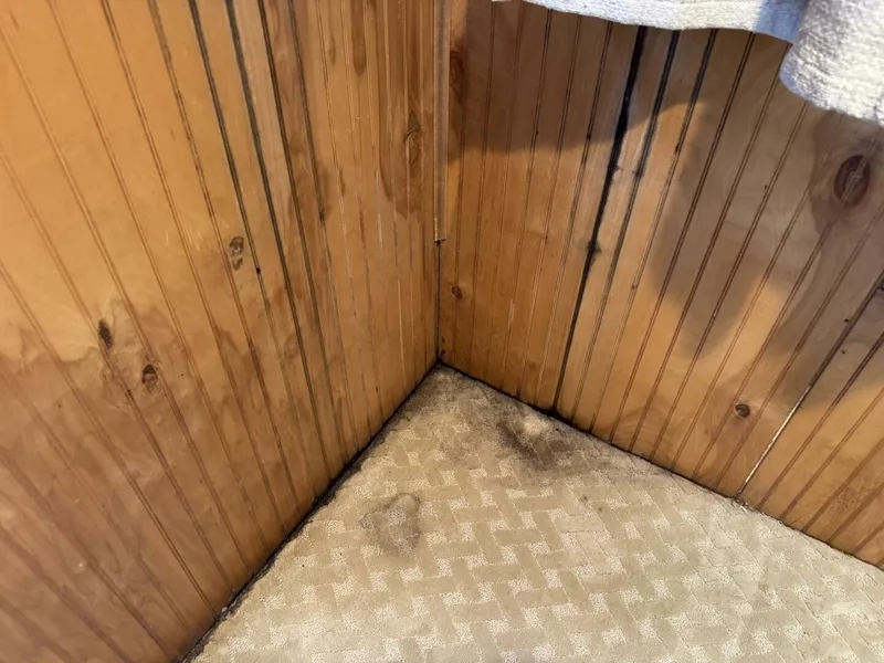 Slide: The Image of Gibson 37 Sport Series 1995 - 5686492