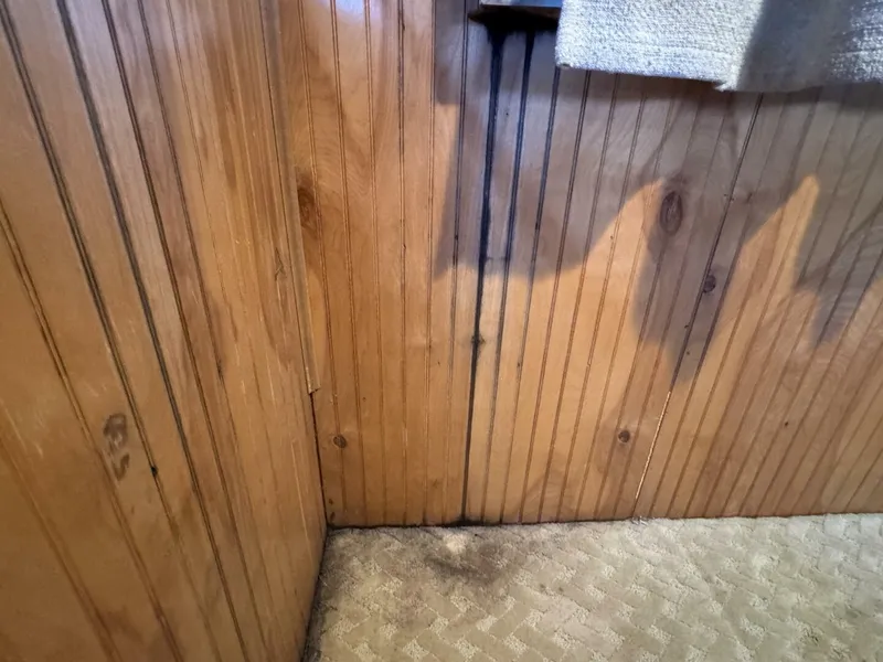 Slide: The Image of Gibson 37 Sport Series 1995 - 5686493