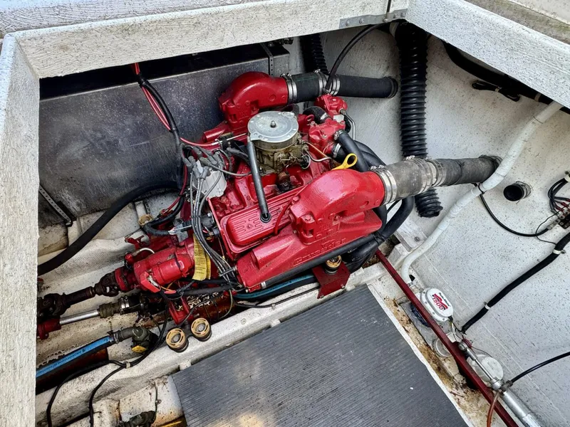 Slide: The Image of Gibson 37 Sport Series 1995 - 5686500