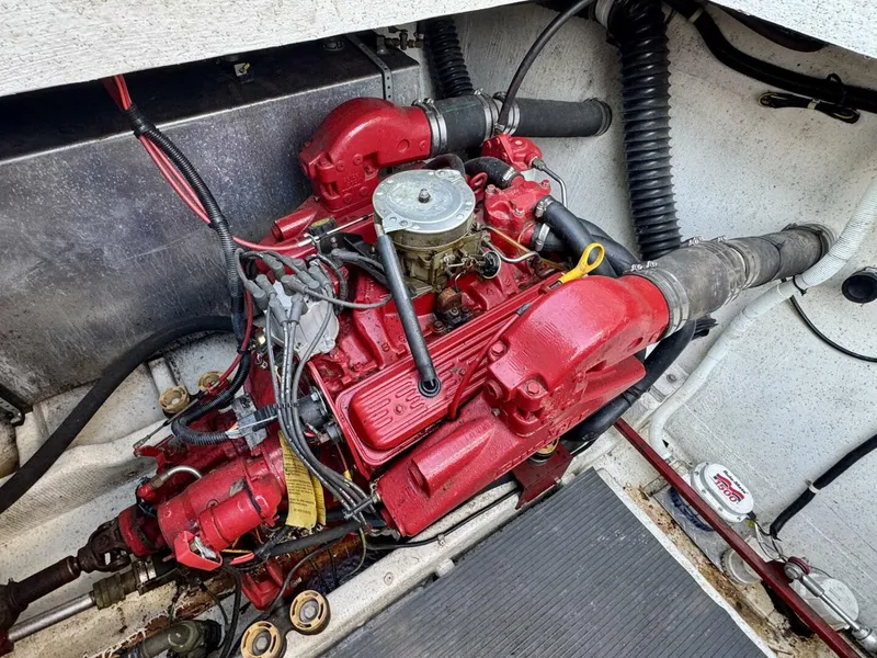 Slide: The Image of Gibson 37 Sport Series 1995 - 5686501