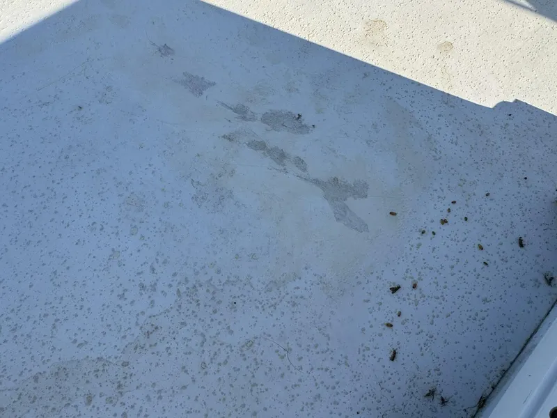 Slide: The Image of Gibson 37 Sport Series 1995 - 5686526