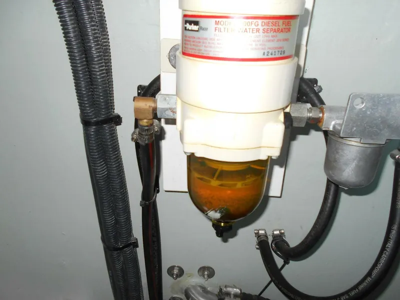 Slide: The Image of Leopard 47 PC Owners' Version 2012 - 5687746