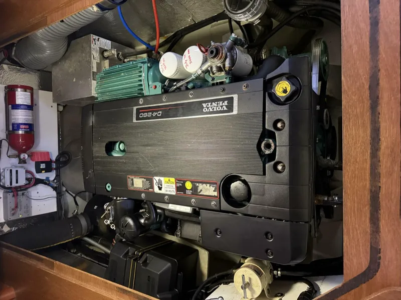 Slide: The Image of Leopard 47 PC Owners' Version 2012 - 5687749