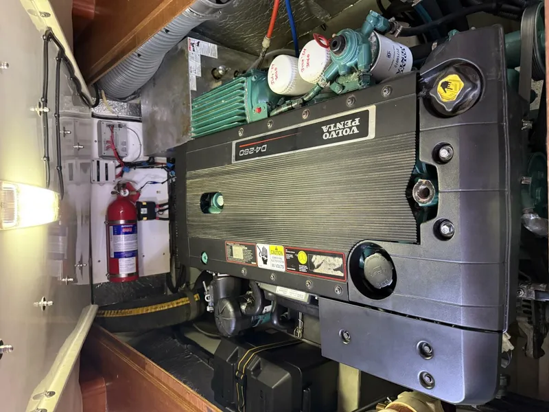 Slide: The Image of Leopard 47 PC Owners' Version 2012 - 5687750