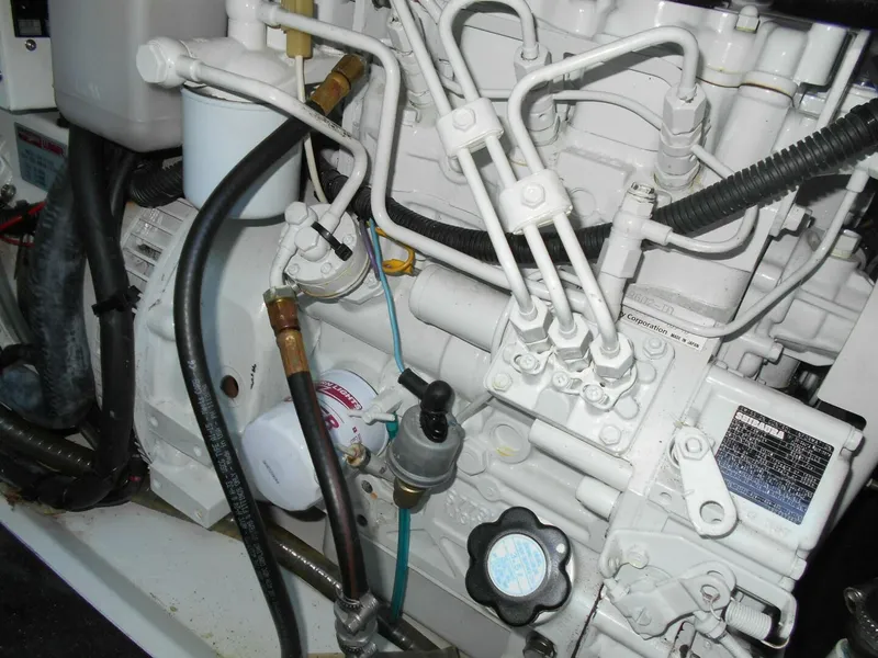 Slide: The Image of Leopard 47 PC Owners' Version 2012 - 5687752