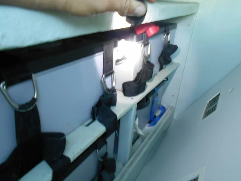 Slide: The Image of Leopard 47 PC Owners' Version 2012 - 5687754